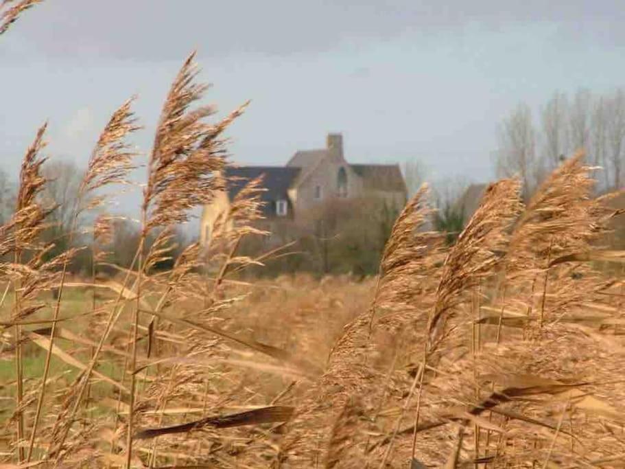 Willa Le Chateau De Neuilly La Foret Isigny-sur-Mer Zewnętrze zdjęcie